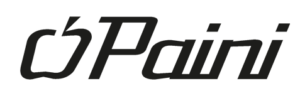 Paini logo